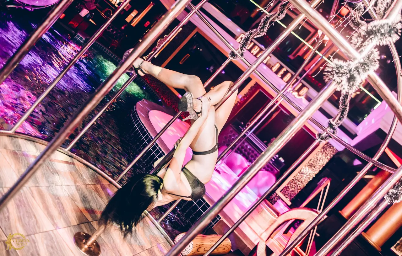 Professional Dancers - Image 5